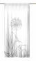 Preview: Schlaufenschal Vorhang Allium 24 - blanco lichtgrau  - helles grau